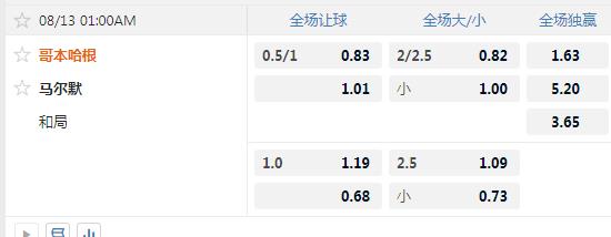 哥本哈根.jpg